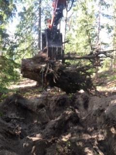 MWC Revelstoke Firewood