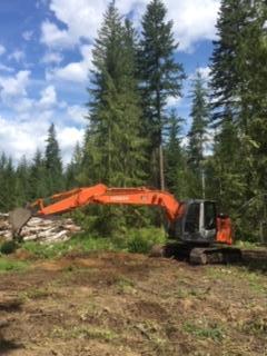 MWC Revelstoke Firewood