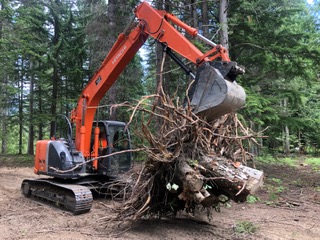 MWC Revelstoke Firewood