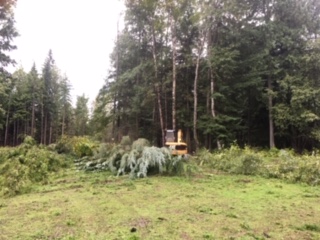 MWC Revelstoke Firewood