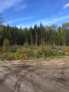 MWC Revelstoke Firewood