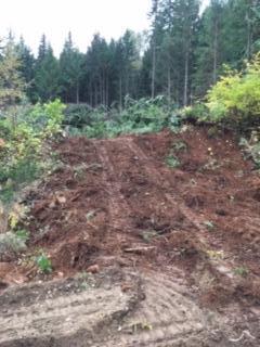 MWC Revelstoke Firewood