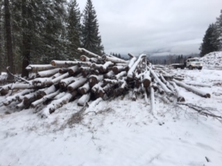 MWC Revelstoke Firewood